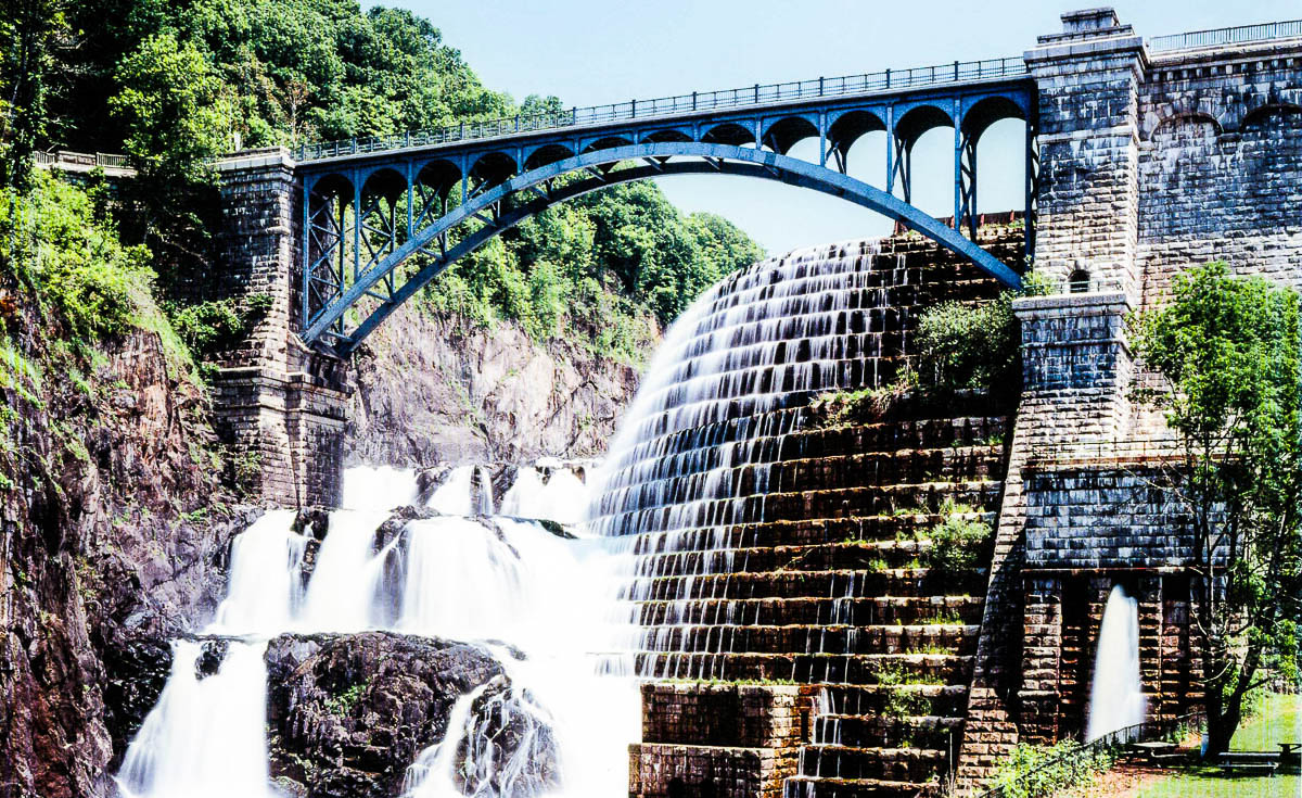 New_Croton_01.jpg